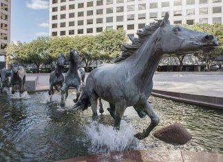 Freeskiing’s Blonde Wonder Woman